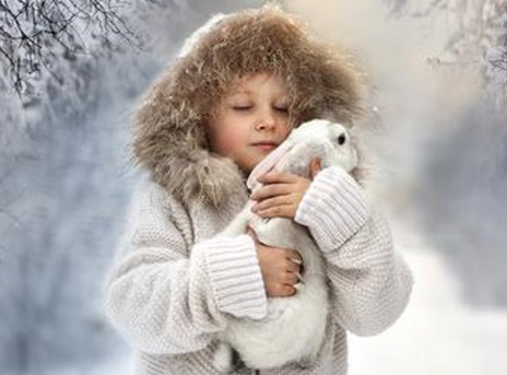 Κορυφαίες φωτογραφίες του Flickr για το 2015