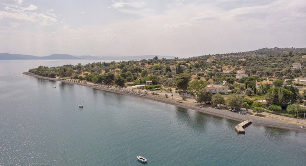 Μέδουσες στα Πολιτικά: Σε παρακολούθηση το φαινόμενο από τον Δήμο