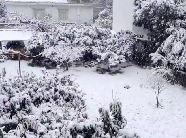 ΔΗΜΟΣ ΕΡΕΤΡΙΑΣ ΚΑΚΟΚΑΙΡΙΑ ΜΠΑΡΜΠΑΡΑ: Διακοπές ρεύματος στη Μαγούλα