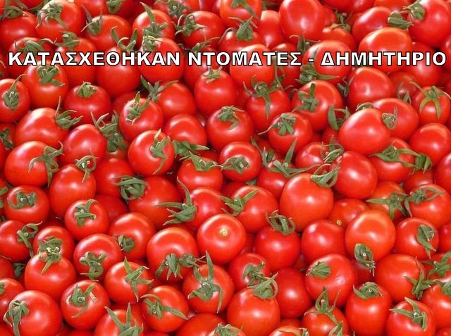 Κατασχέθηκαν 4,6 τόνοι εισαγόμενες ντομάτες - δηλητήριο από Ιταλία και Αλβανία