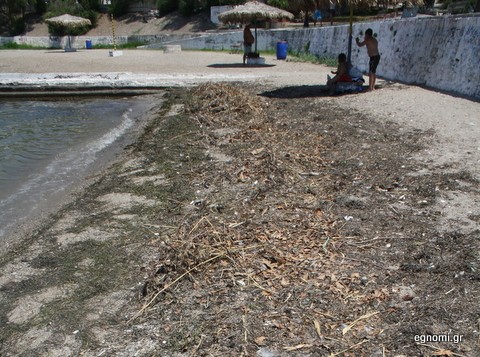 Πενταβρώμικη η Σουβάλα από τα ξεβράσματα των κυμάτων