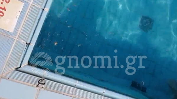 ΚΟΛΥΜΒΗΤΗΡΙΟ ΧΑΛΚΙΔΑΣ: Παραμένει μαύρος ο πυθμένας (VIDEO)