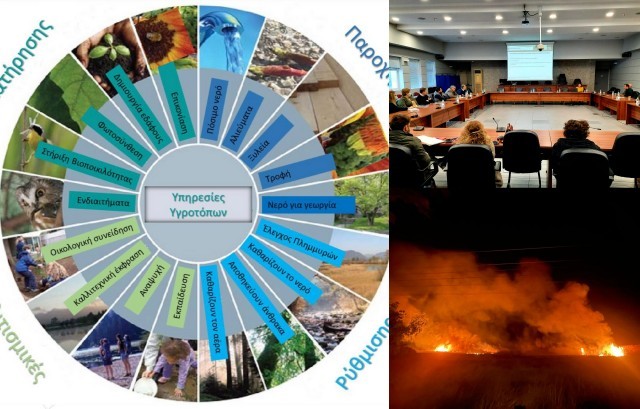 ΚΟΛΟΒΡΕΧΤΗΣ: Το πρωί παρουσιάστηκε μελέτη για την αξιοποίηση του υγροβιότοπου και το βράδυ έπιασε φωτιά