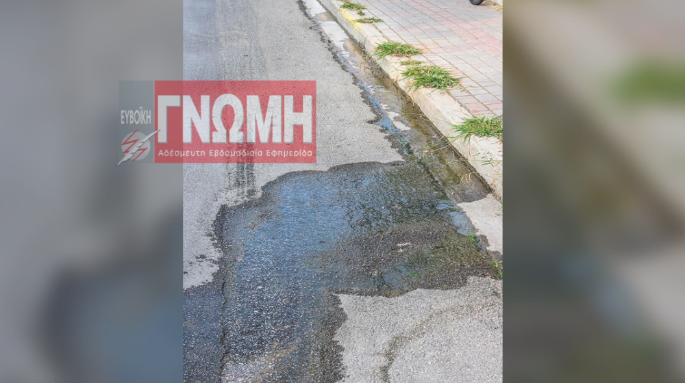 ΧΑΛΚΙΔΑ: Της διαρροής το ...κάγκελο!