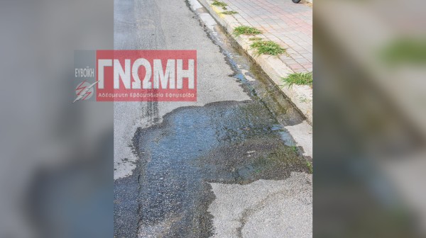 ΧΑΛΚΙΔΑ: Της διαρροής το ...κάγκελο!