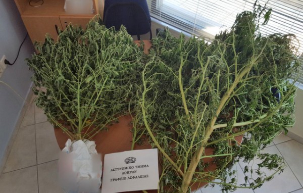 Δύο άντρες και δύο γυναίκες συνελήφθησαν σε υπόθεση ναρκωτικών (pics)