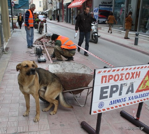 Το ...ράντισμα του σκύλου