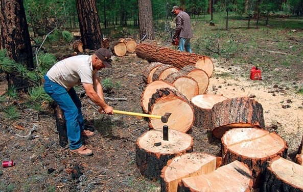 Άρχισαν περιπολίες στα δάση της Εύβοιας