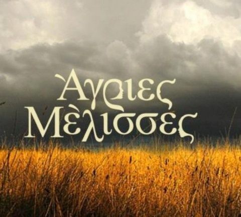 Παίζουν στις Αγριες Μέλισσες και έγιναν ζευγάρι στη ζωή (VIDEO)