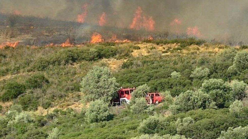 ΕΥΒΟΙΑ: Νέα πυρκαγιά στον Καφηρέα – Συναγερμός στο Κόμιτο Καρύστου