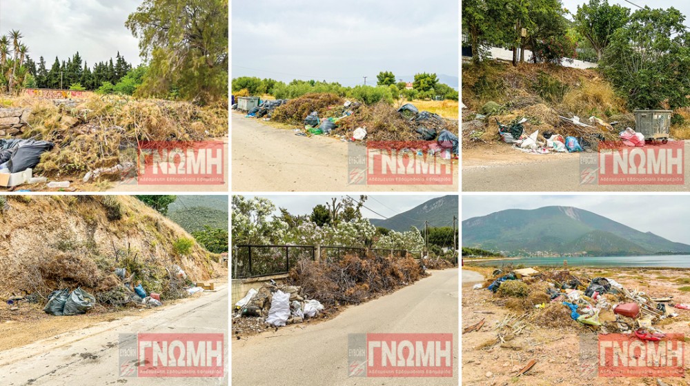 ΔΡΟΣΙΑ ΧΑΛΚΙΔΑΣ: Τα παραλιακά ...βουνά της ντροπής!