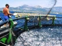 Άλυτα τα προβλήματα των υδατοκαλλιεργητών