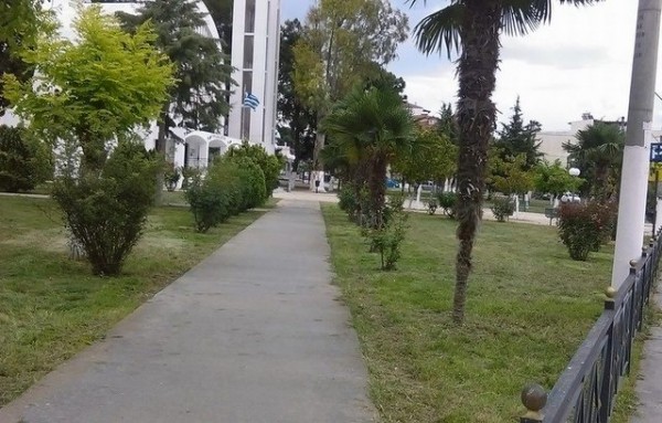 Έπεσε ...κούρεμα στη ζούγκλα των Αγίων Αποστόλων στην Αρτάκη