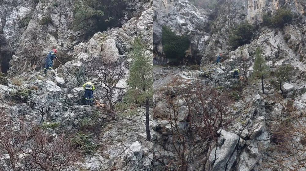 ΕΥΒΟΙΑ: Έτσι σώθηκε ο σκύλος που έπεσε σε χαράδρα στο φαράγγι της Αγάλης (VIDEO)
