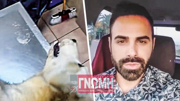 ΕΞΩ ΠΑΝΑΓΙΤΣΑ: Δολοφόνοι έριξαν φόλες σε δυο αδέσποτα