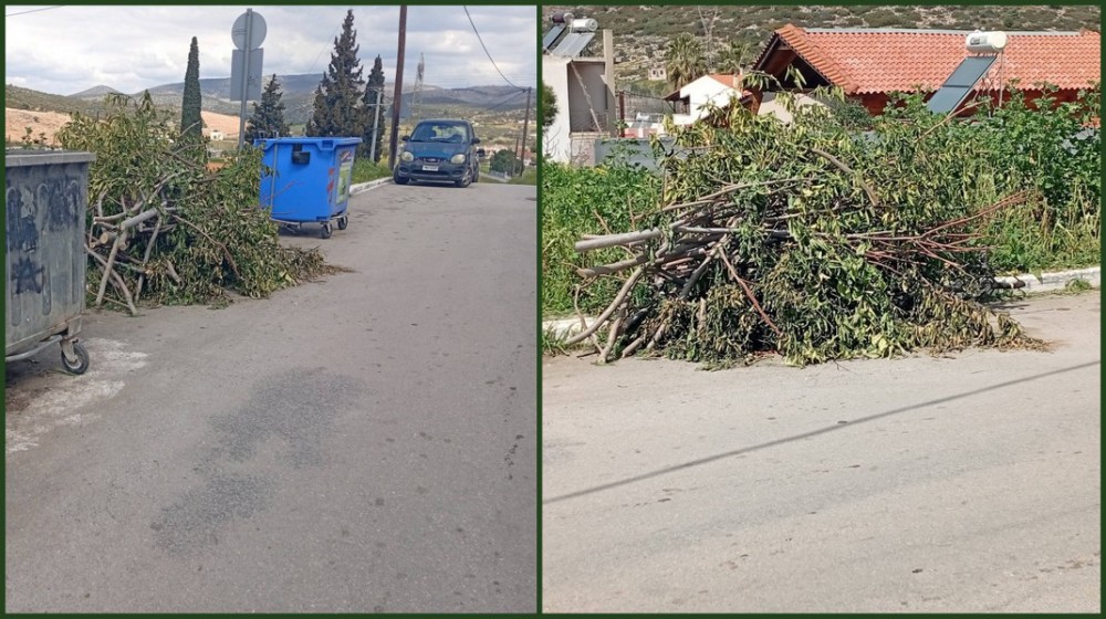 ΔΟΚΟΣ ΧΑΛΚΙΔΑΣ: Κλαδιά στο δρόμο προκαλούν ρύπανση και δημιουργούν κίνδυνο για οδηγούς