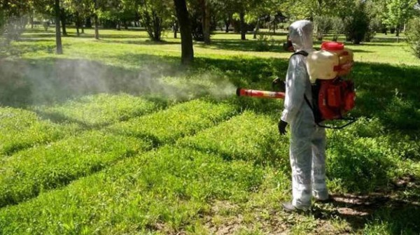 ΚΟΥΝΟΥΠΙΑ: Σε ποιες περιοχές της Εύβοιας θα γίνουν ψεκασμοί έως τις 25 Σεπτεμβρίου