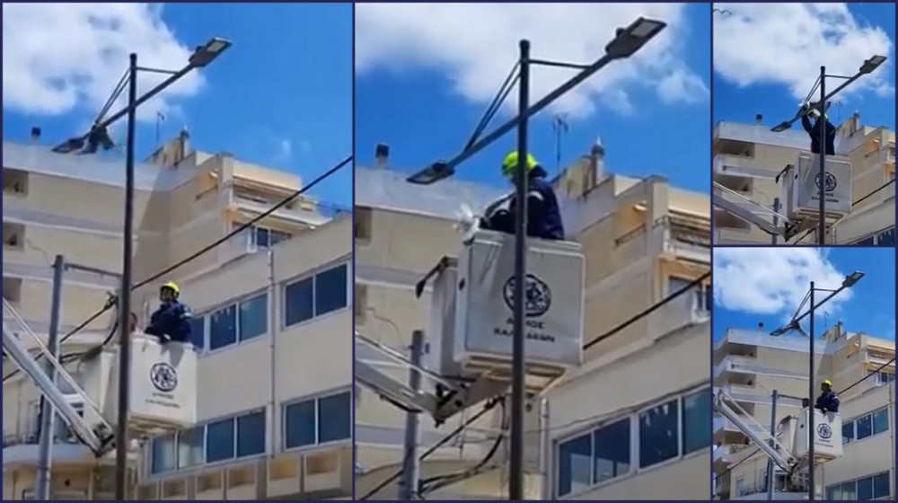 Επιχείρηση διάσωσης γλάρου στη Χαλκίδα - Ποιοι ήταν οι διασώστες (VIDEO)