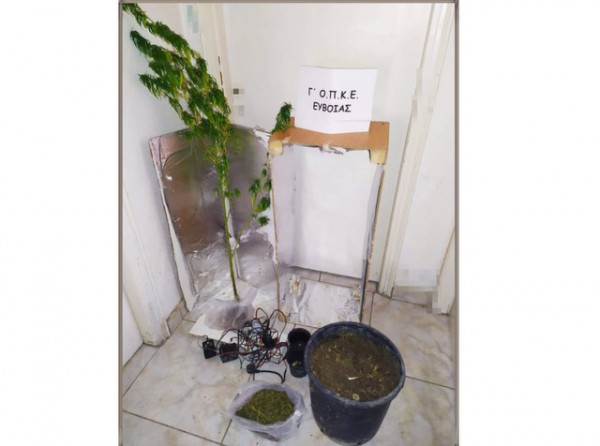 ΙΣΤΙΑΙΑ: Καλλιεργούσε χασίς στο σπίτι της 47χρονη Ελληνίδα