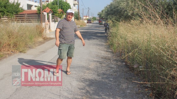 ΛΑΜΨΑΚΟΣ: Η λακκούβα έγινε ...υδροβιότοπος!