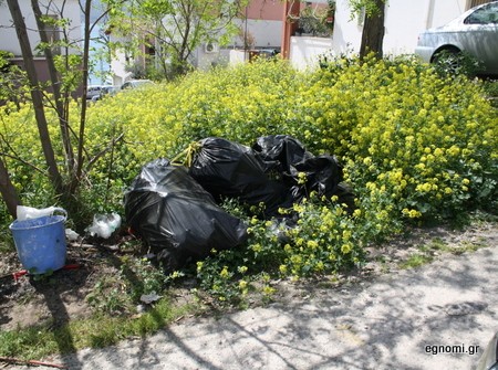 Λουλούδια και σκουπίδια