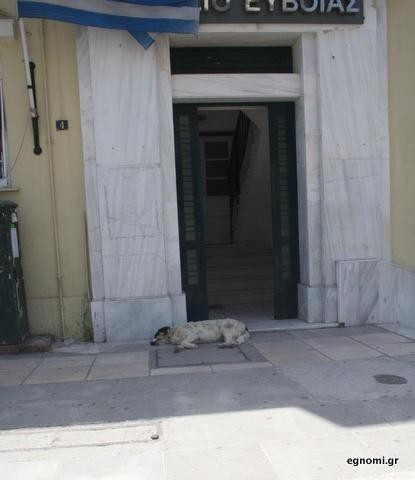Μαέστρος, θυρωρός και φύλακας του Εφετείου