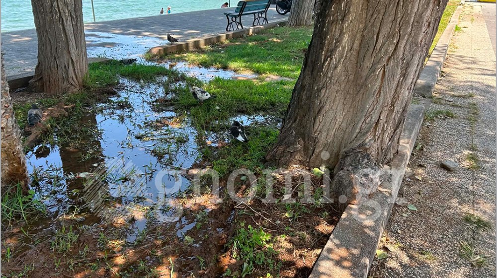 ΠΛΑΖ ΣΟΥΒΑΛΑ-ΧΑΛΚΙΔΑ: Το παρτέρι έγινε βούρκος