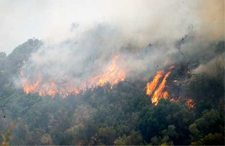 Πύρινος εφιάλτης στην Κάρυστο
