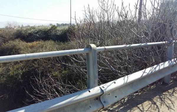 Επιχείρησε να αυτοκτονήσει 17χρονη πέφτοντας από γέφυρα