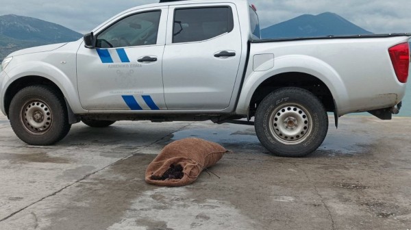 ΑΛΥΚΕΣ ΔΡΟΣΙΑΣ: Έλληνας ψάρευε παράνομα χταπόδια με γαλαζόπετρα