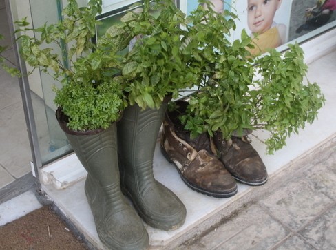 Ολα τα...άχρηστα έγιναν γλαστράκια!