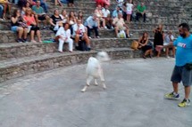 Κατσίκα ανέβηκε στη σκηνή του θεάτρου «Ολυμπία»