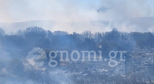 ΦΩΤΙΑ - ΑΛΙΒΕΡΙ: Συνελήφθη 60χρονος ως υπαίτειος