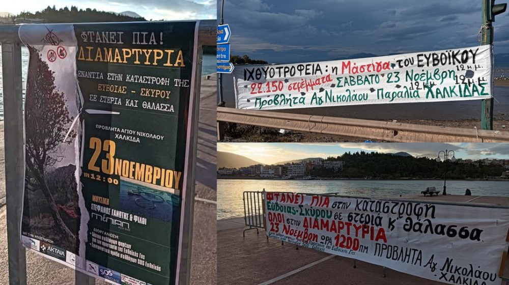 ΧΑΛΚΙΔΑ: Το Εργατικό Κέντρο Εύβοιας στηρίζει την κινητοποίηση για να σωθεί το περιβάλλον