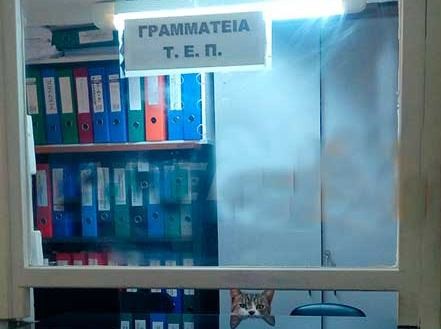 Γάτα ...ο γραμματέας στα επείγοντα του νοσοκομείου Σπάρτης!