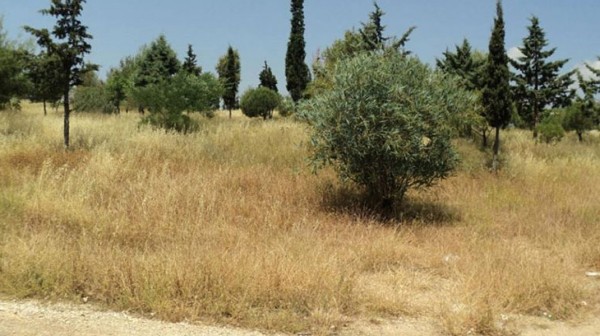 ΚΕΔΙΚΟΓΛΟΥ: Να σταματήσει η κυβέρνηση να εκβιάζει τους πολίτες με τον καθαρισμό οικοπέδων