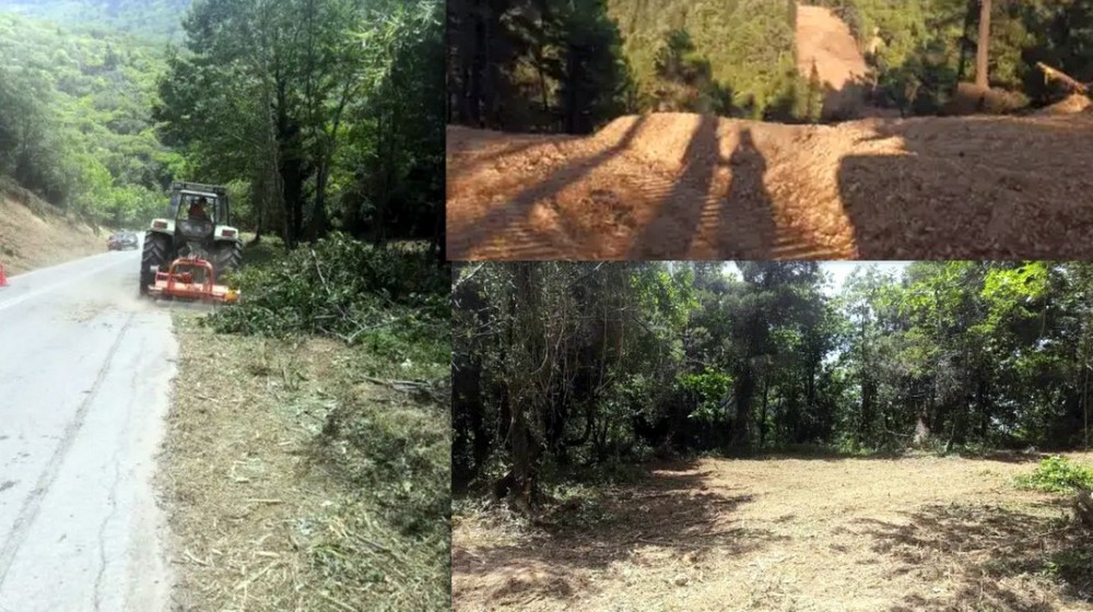 ΧΑΛΚΙΔΑ: Εκδήλωση από το Δασαρχείο για το Σχέδιο Αντιπυρικής προστασίας