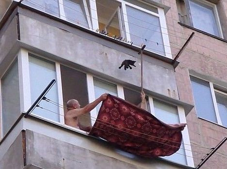 Επιχείρηση διάσωσης για ένα γατάκι (VIDEO)