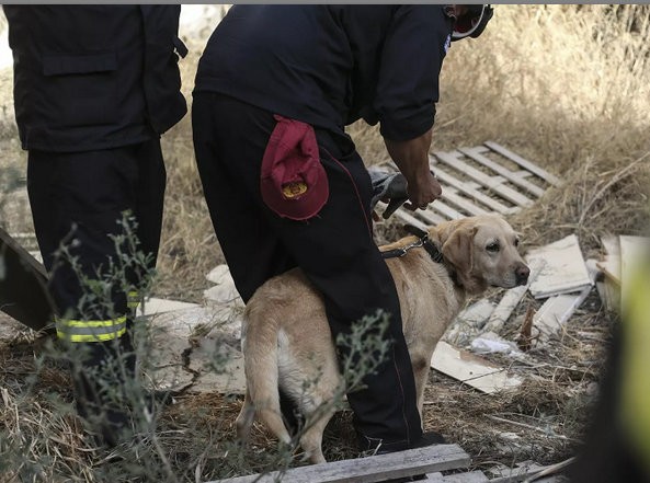 ΤΡΑΓΩΔΙΑ ΣΤΗ ΦΘΙΩΤΙΔΑ: Βρέθηκε νεκρός 75χρονος κτηνοτρόφος