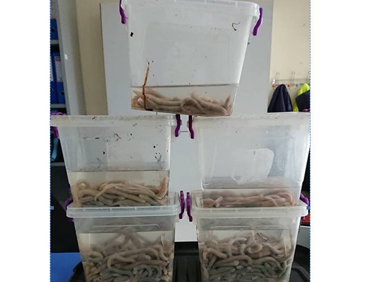 Κατασχέθηκαν παράνομα τσουτσούνια στο Μπούρτζι (φωτό)