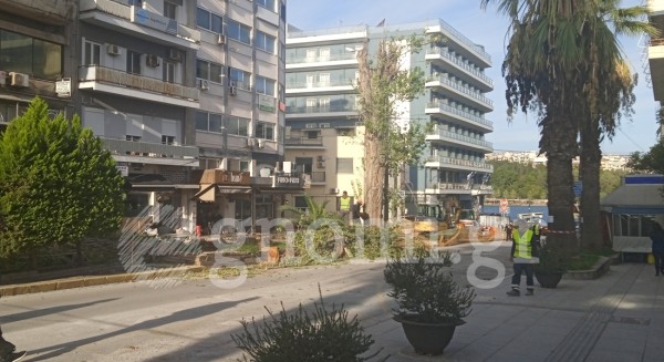 Νέες αντιδράσεις για την κοπή των δέντρων στη Βενιζέλου - Σκληρή δήλωση από τον Γιάννη Μπάρμπα