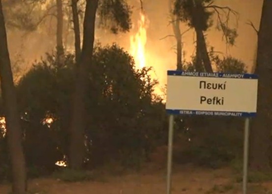 ΦΩΤΙΑ ΕΥΒΟΙΑ ΠΕΥΚΙ: Αγανακτισμένος ο δήμαρχος Γιάννης Κοντζιάς ζητούσε να φέρουν νερό (VIDEO)