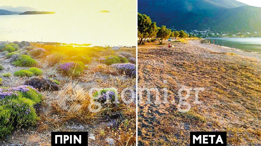 Φρέζα-σίφουνας ισοπέδωσε παραλία στη Δροσιά Χαλκίδας