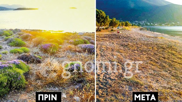 Φρέζα-σίφουνας ισοπέδωσε παραλία στη Δροσιά Χαλκίδας