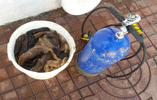 Εντοπίστηκε παράνομος ψαράς από το Λιμεναρχείο Χαλκίδας