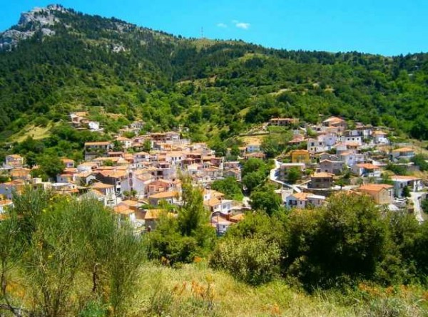 Ο Κώστας Μπασούκος πρόεδρος στο Σύλλογο του Θεολόγου