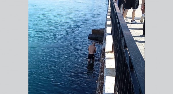 ΧΑΛΚΙΔΑ: Ανδρας έσωσε γατάκι βουτώντας στα νερά του Ευρίπου