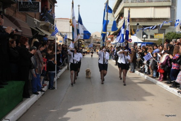 Μασκότ της παρέλασης το σκυλάκι