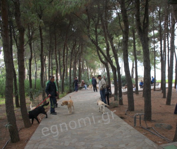 Γέμισε το πάρκο του Φάρου Labrador