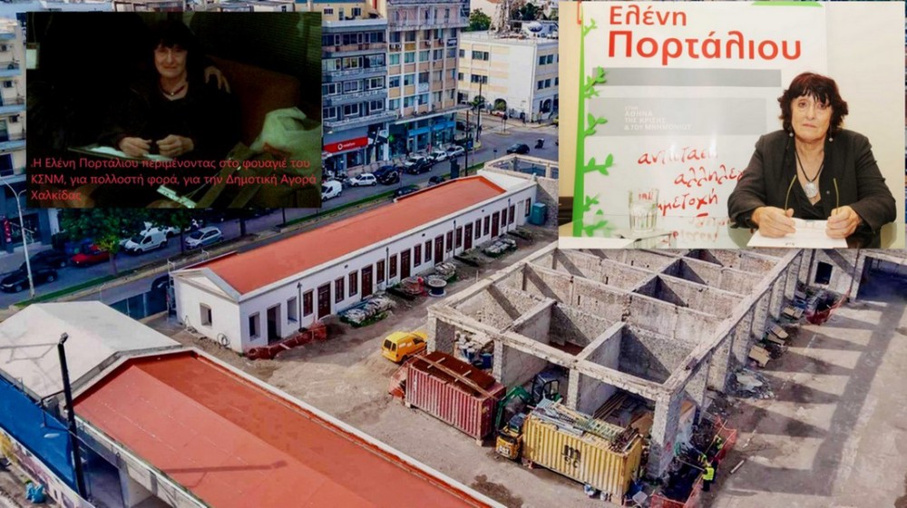 ΧΑΛΚΙΔΑ: Θλίψη για την απώλεια της καθηγήτριας Πανεπιστημίου Ελένης Πορτάλιου